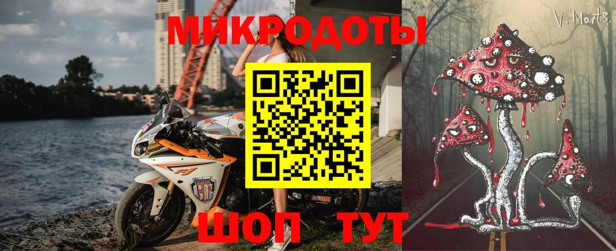 Кубинка  Псилоцибиновые грибы прущие грибы  Вход с VPN  Псилоцибиновые грибы Psilocybine cubensis 